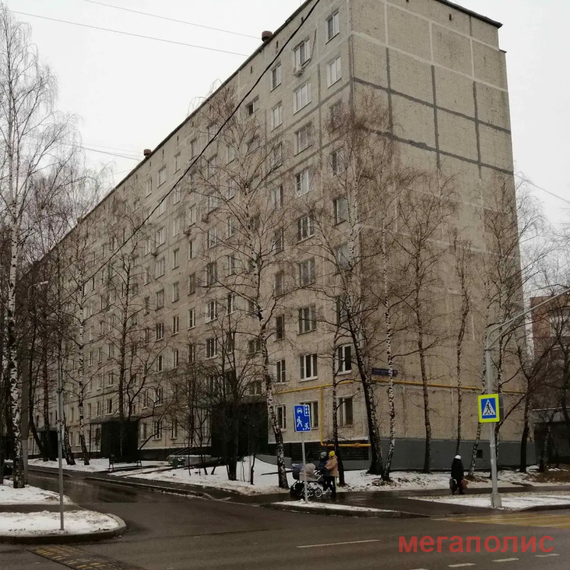 Академика Миллионщикова, 17